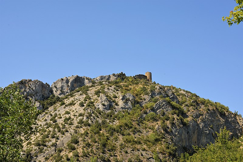 Castillo de Falces en Tolva