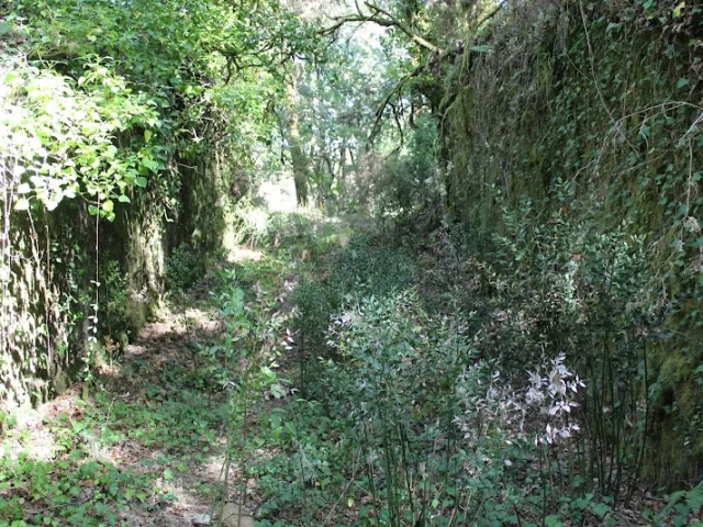 Castelo de Caldelas de Orcellón