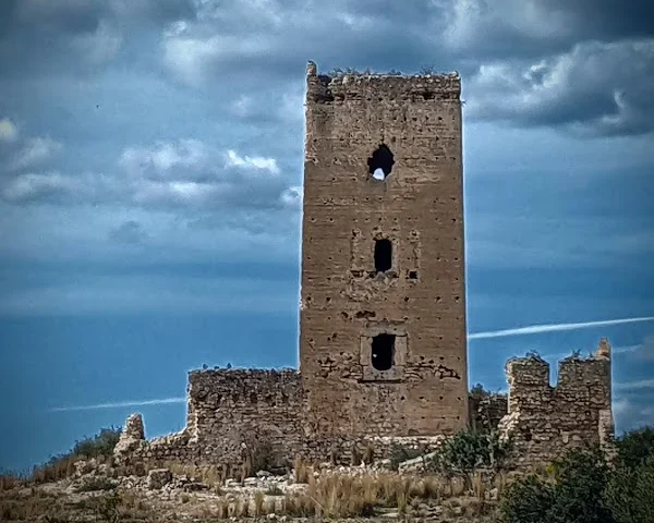 Castillo de Alédua
