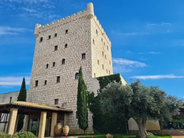 Pago de Cirsus