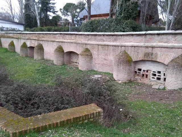 Reja del Rey