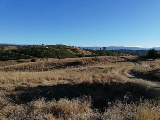 Ruinas de Salvaleón